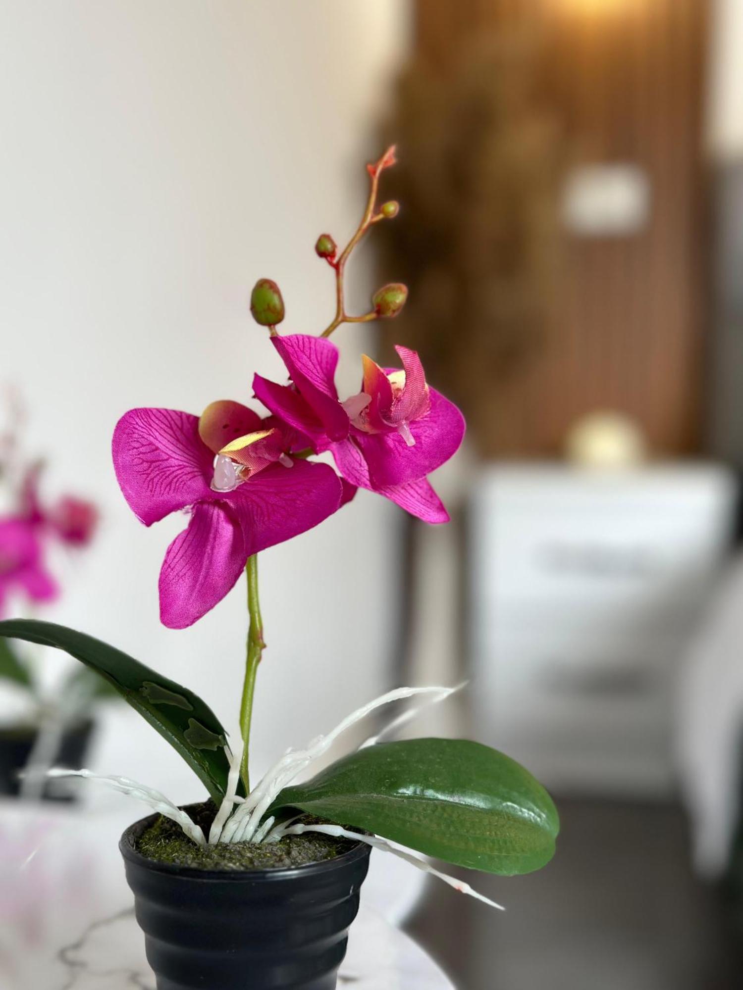 Feti Xhone Apartment Ksamil